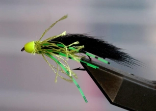 Green Ronker Green Ronker