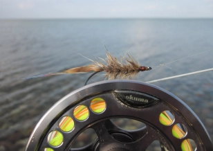 The classic The classic