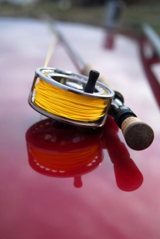 Car roof reflections Car roof reflections