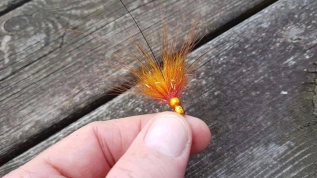 A small fly A small fly