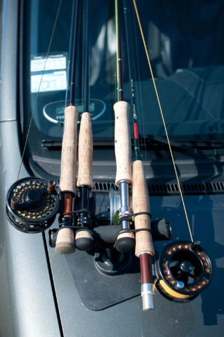 Crushing the cork Crushing the cork