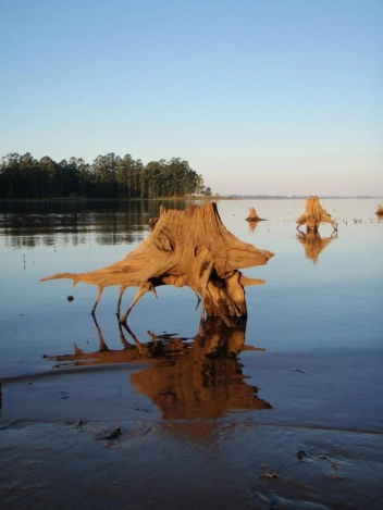 Odd shapes Odd shapes