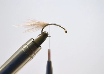 Must Shrimp - step 1 Must Shrimp - step 1