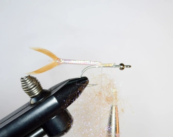 Speedy - step 3 Speedy - step 3