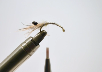 Must Shrimp - step 4 Must Shrimp - step 4