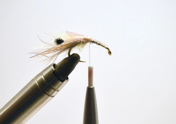 Must Shrimp - step 6 Must Shrimp - step 6