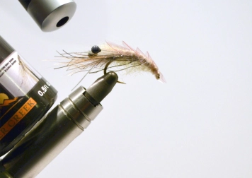 Must Shrimp - step 10 Must Shrimp - step 10