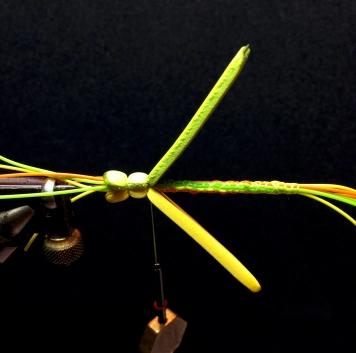 First segment bottom First segment bottom