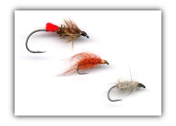 Small flies Small flies