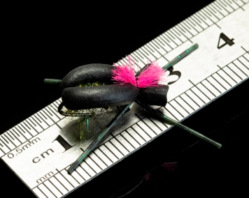 Small terrestrial Small terrestrial