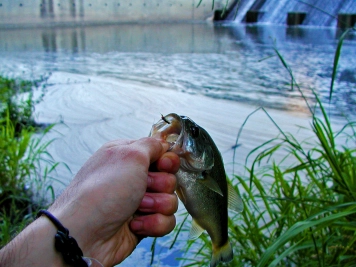 Waterfalls never fail Waterfalls never fail