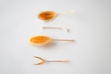 Speedy - the tail process Speedy - the tail process