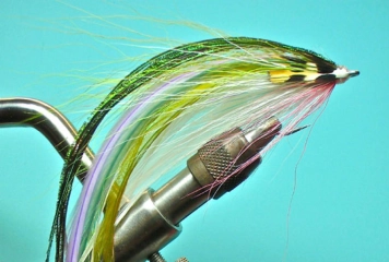 Finished phly Finished phly