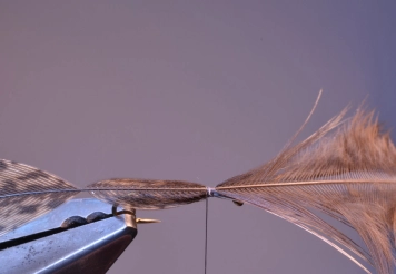 Step 4 - ready for a trim Step 4 - ready for a trim