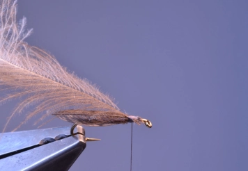 Step 7 - CDC tied in Step 7 - CDC tied in