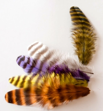 Grizzly soft hackle Grizzly soft hackle