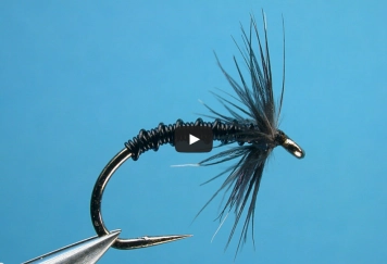 Midnight Stalker Midnight Stalker