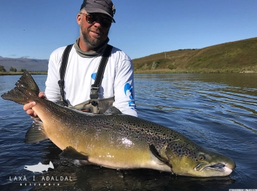 Large, colored salmon caught on an Erna Large, colored salmon caught on an Erna