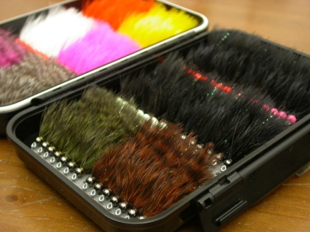 Different colors Different colors