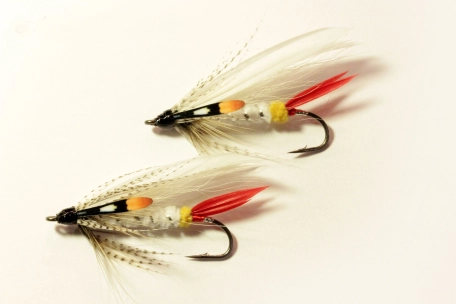 Ancient pike fly Ancient pike fly