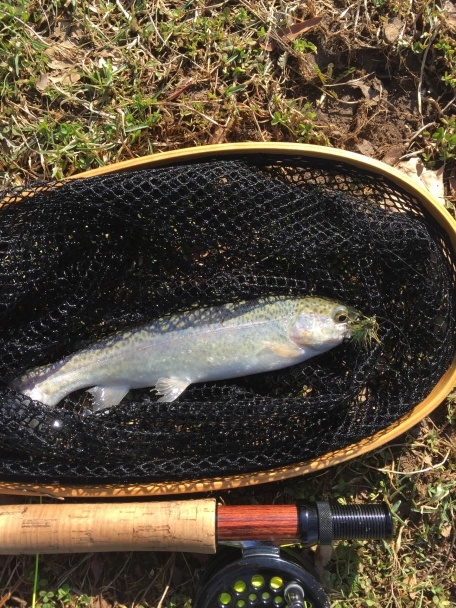 The net at work The net at work