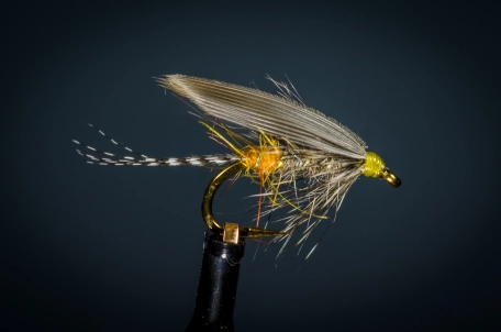 Grey Monkey Grey Monkey