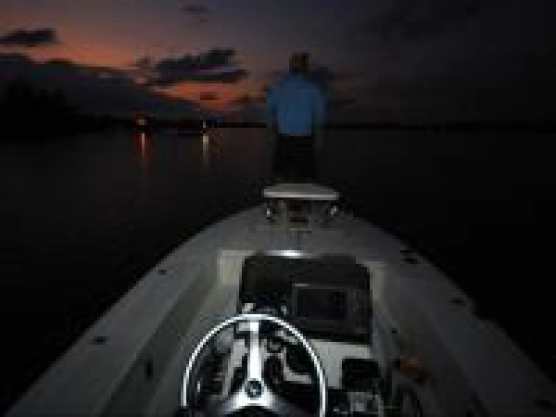 King of the moonfish - image King of the moonfish - image