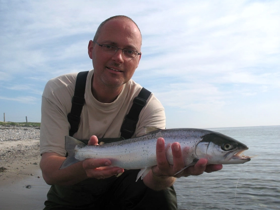 Too much work - image Too much work - image