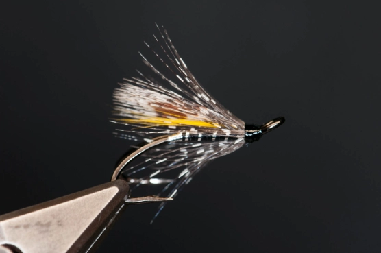 Small salmon double Small salmon double