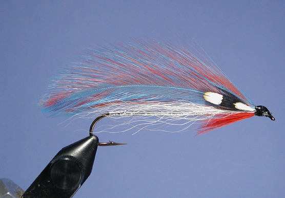 American Beauty American Beauty