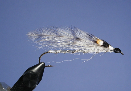 Sanders Special Sanders Special