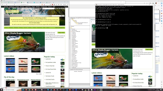 Hard work at the computer Hard work at the computer
