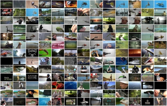 Thousands of videos Thousands of videos