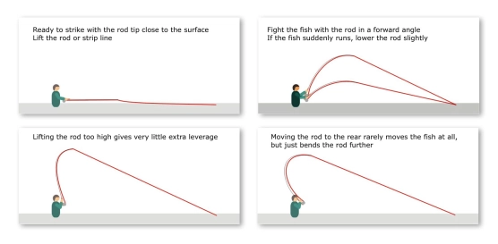 Strike and fight angles Strike and fight angles
