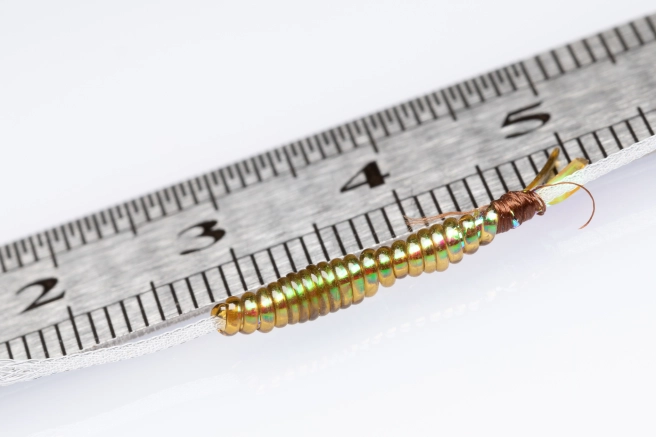 Finished shell Finished shell