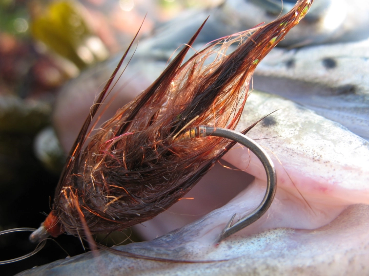 The Charlie The Charlie