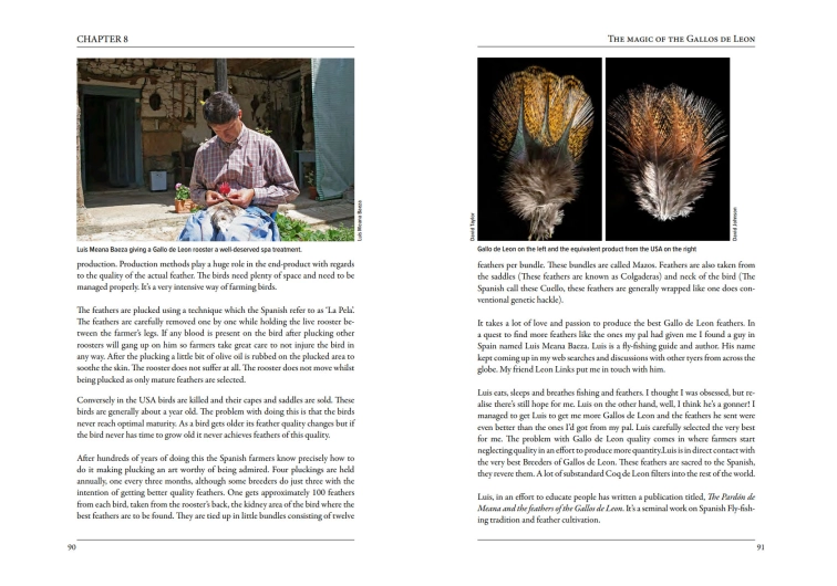 Feather Mechanics II pages Feather Mechanics II pages