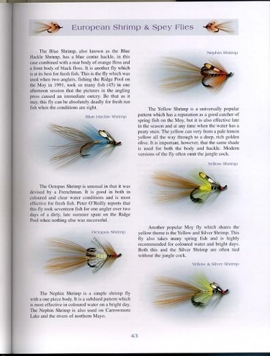 Page sample Page sample