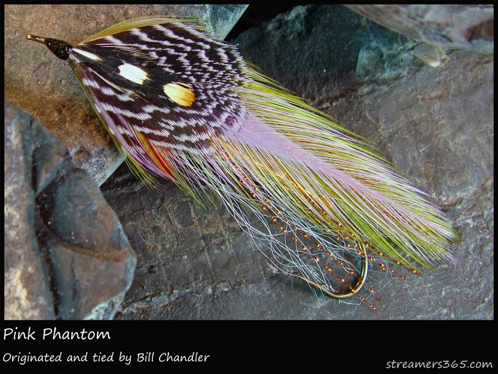 #120 Pink Phantom - Bill Chandler #120 Pink Phantom - Bill Chandler