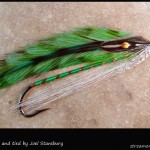 #334 Dr. J - Joel Stansbury #334 Dr. J - Joel Stansbury