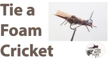 you_tube_foam_cricket_thumbnail_v1.jpg