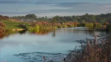 Video thumb for Fly Fishing at Thornwood springs UK