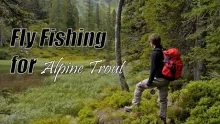Video thumb for Fly Fishing for Alpine Trout - Taurach Vol. II