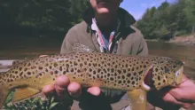 Video thumb for Loyalsock Spring '14