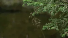 Video thumb for A little film about friendship