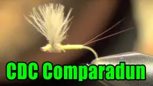 Video thumb for CDC Comparadun