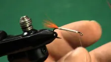 Video thumb for Golden Shiner
