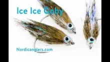 Video thumb for Ice Ice Goby