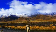 Video thumb for Big Brown Trout in Highlands of New Zealand