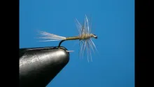 Video thumb for Blue wing olive (bwo) variant